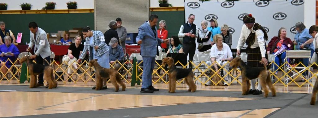 Conformation Banner 2025 image by TMHardy