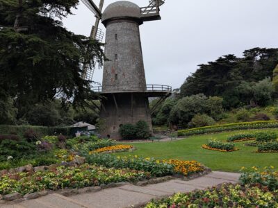 Golden Gate Park Airedale Walk